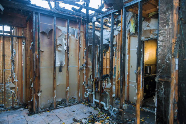 Professional Fire Damage Removal technician working in Randallstown, MD